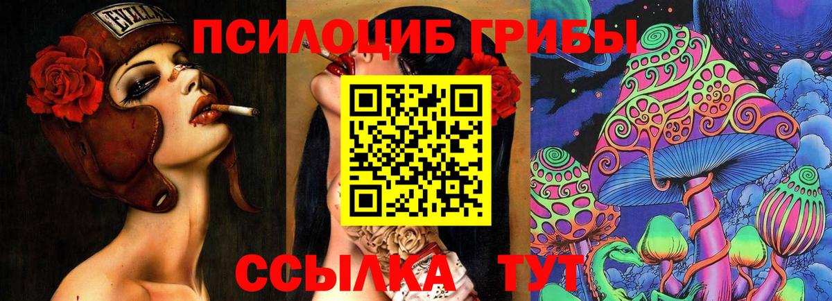 Кумертау  Галлюциногенные грибы Psilocybine cubensis  Вход с VPN  наркота  Псилоцибиновые грибы Psilocybe 